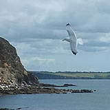 Holidaymakers enjoying the beach at Charlestown