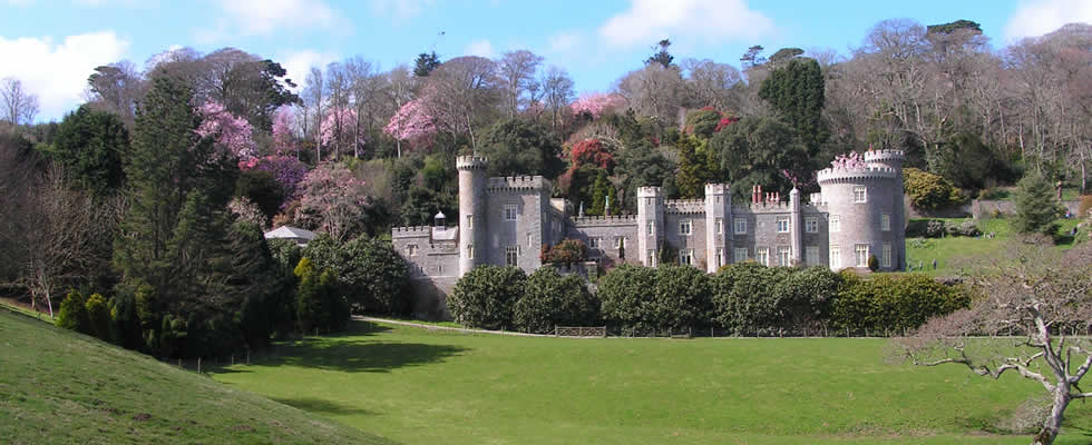 Cornwall is rich in lovely and unusual gardens to delight tourists and keen gardeners alike